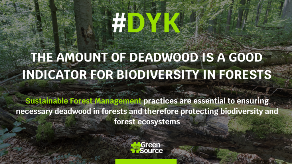 Deadwood and biodiversity