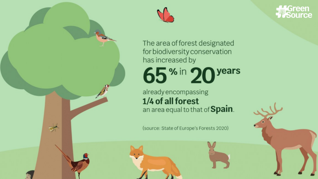 Forest biodiversity