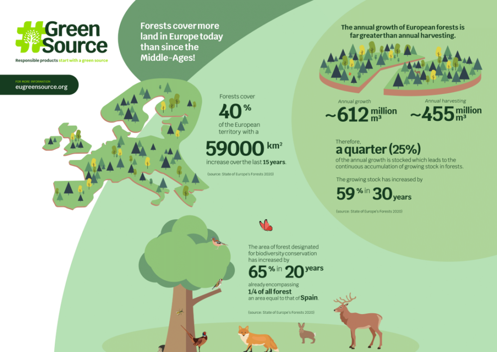 Forest data infographic