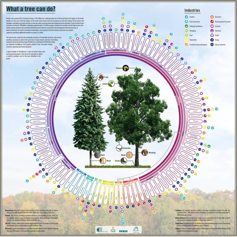 What a tree can do Infographic (Author: CEPI)