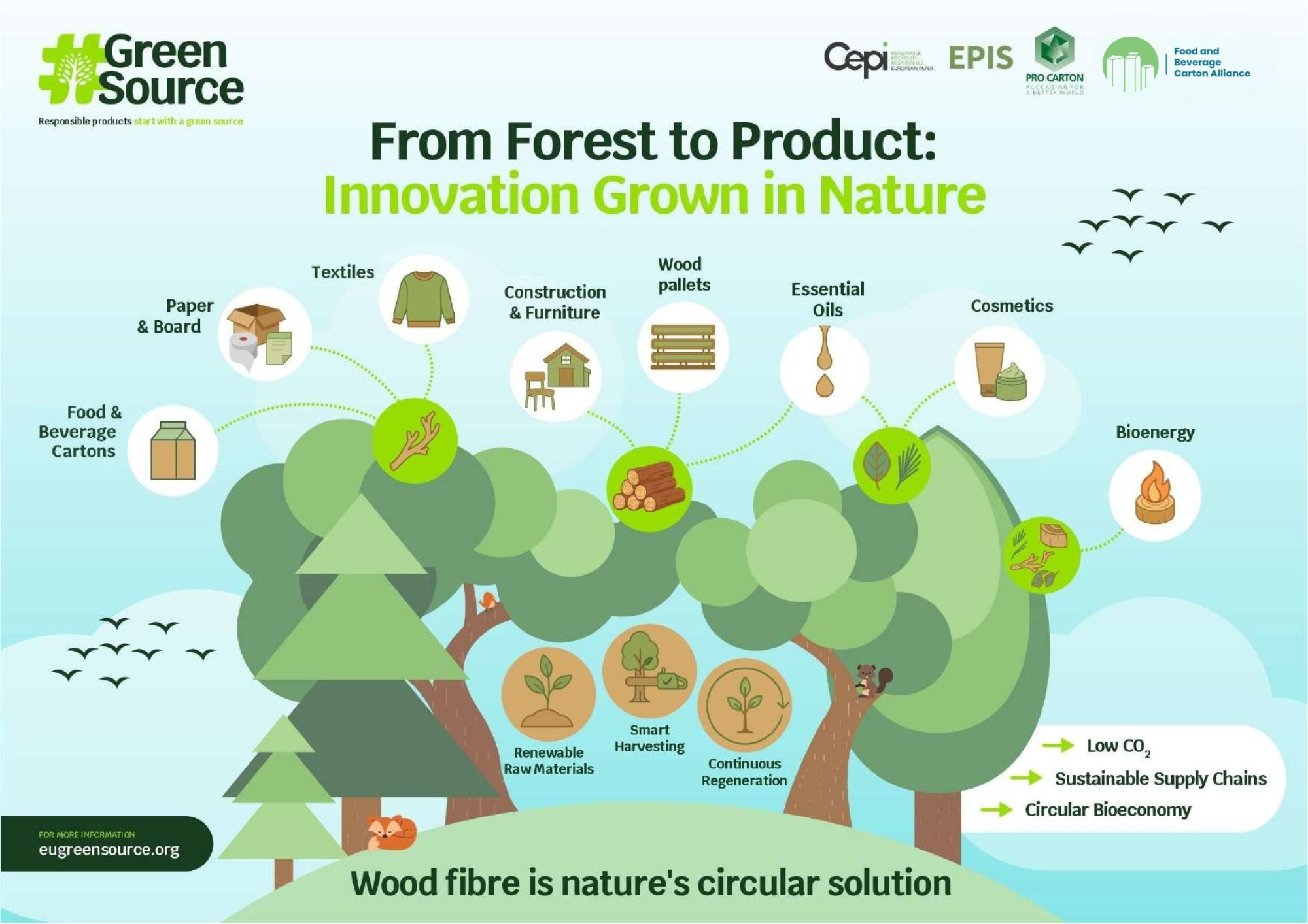 GS-Forest-Future-4-1 infographic_2026